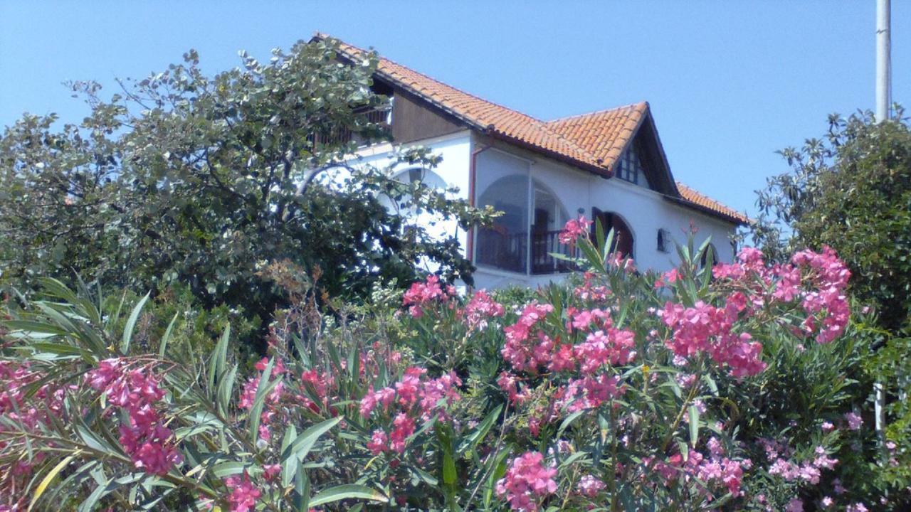 Villa Iris Nea Vrasna Exterior photo